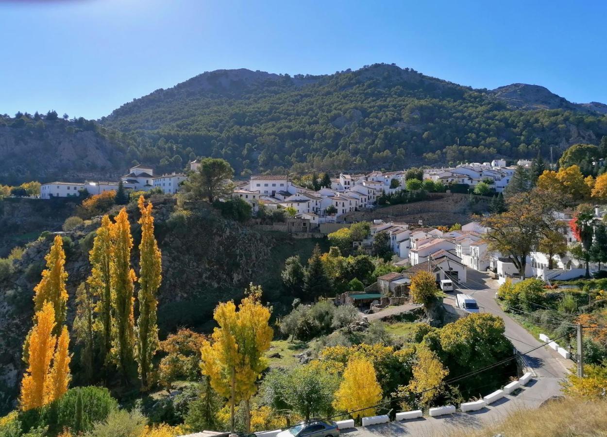 Casas Las Piedras De Agua Грасалема Екстериор снимка